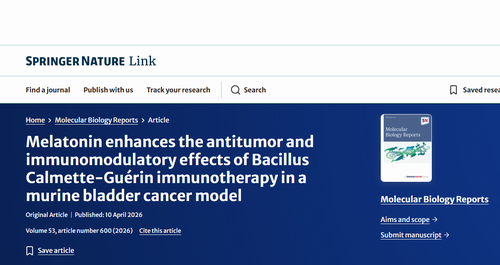 Melatonin enhances the antitumor and immunomodulatory effects of Bacillus Calmette-Guérin immunotherapy in a murine bladder cancer model